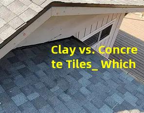 Clay vs. Concrete Tiles_ Which is Best for Your Climate_